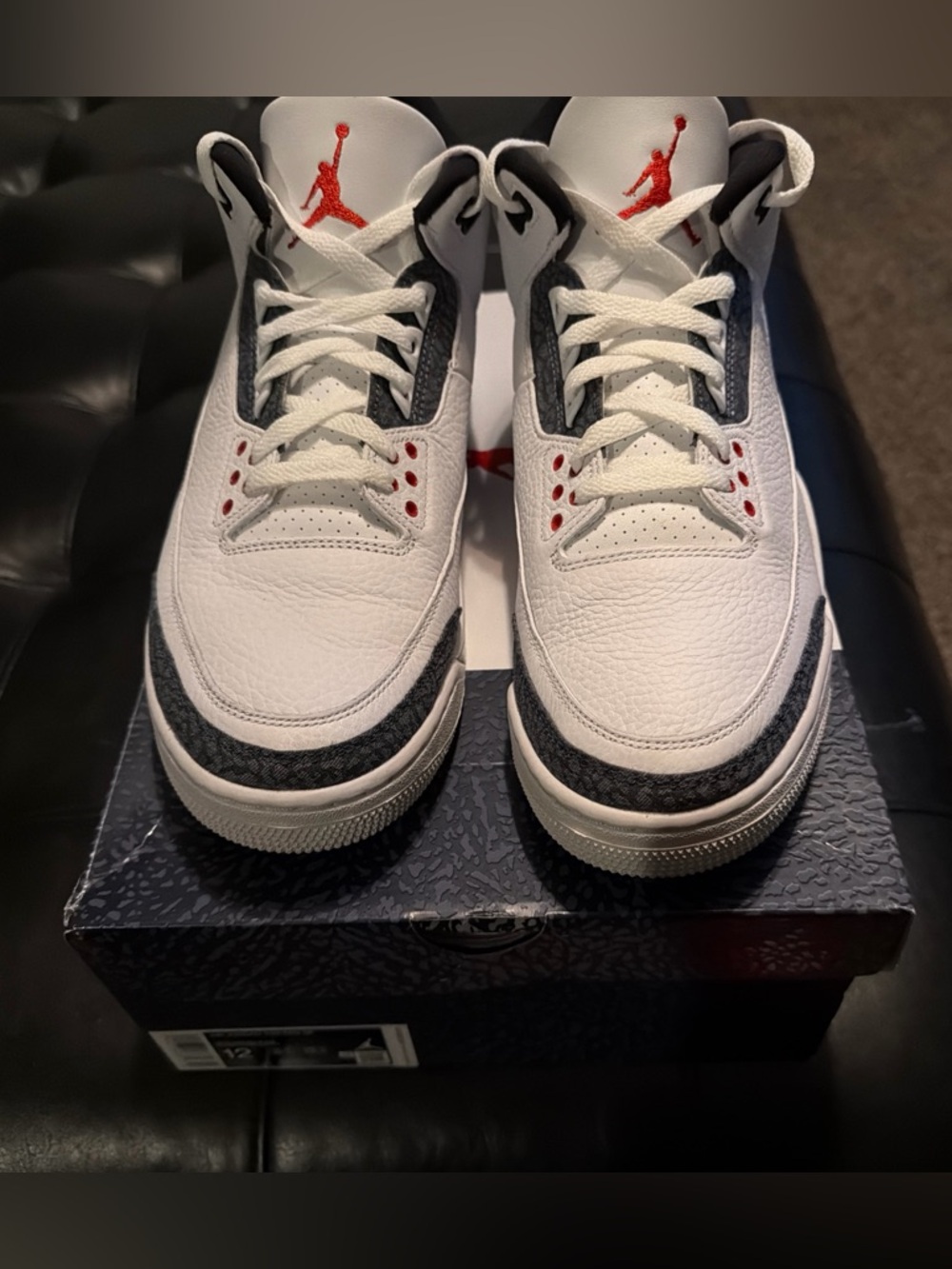 Mens Air Jordan retro 3 SE Size 12